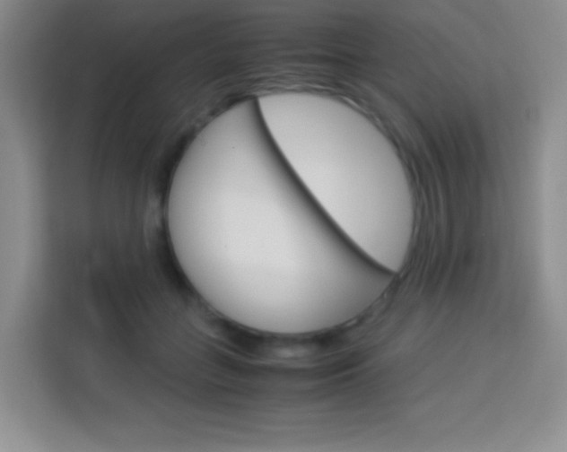 X0000114110555200910051241