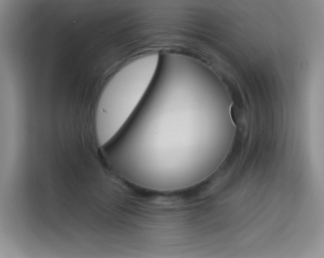 X0000114110556200910051241