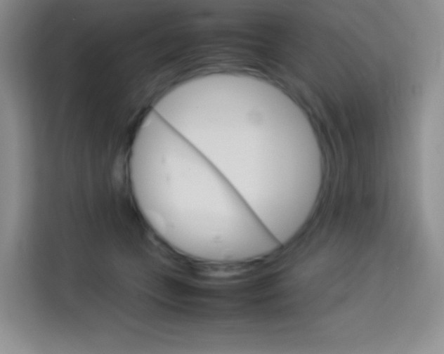 X0000114110559200910051241