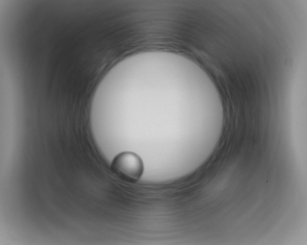 X0000114110560200910051241