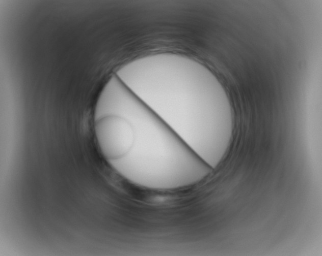 X0000114110563200910051241