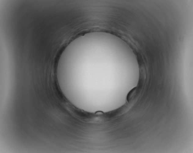 X0000114110564200910051241
