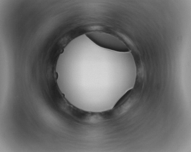 X0000114110572200910051241
