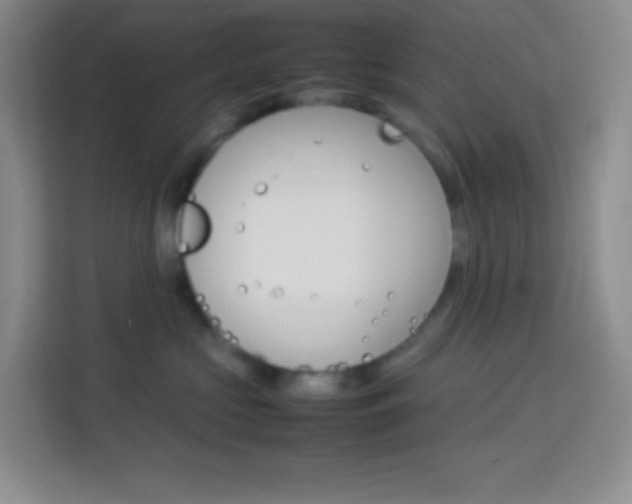 X0000114110573200910051241