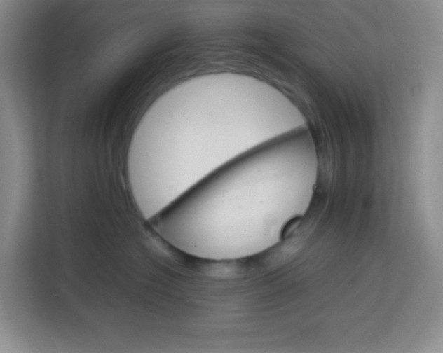 X0000114110574200910051241