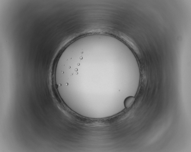 X0000114110578200910051240