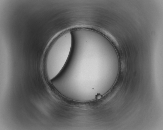 X0000114110580200910051240
