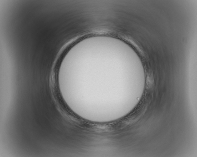 X0000114110583200910051240