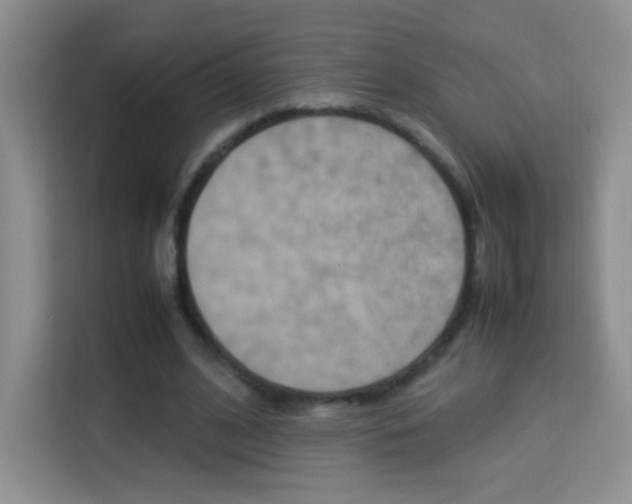 X0000114110584200910051240
