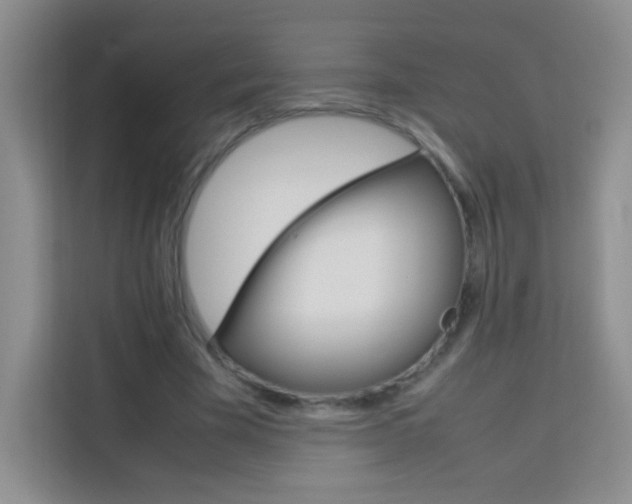 X0000114110585200910051240