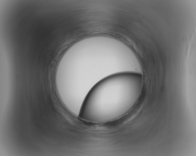 X0000114110589200910051240