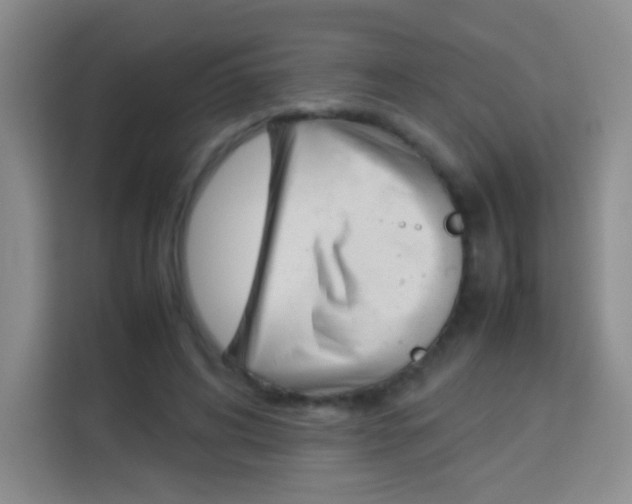 X0000114110592200910051240