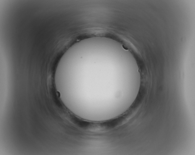X0000114110597200910051240
