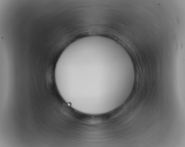 X0000114110604200910051240