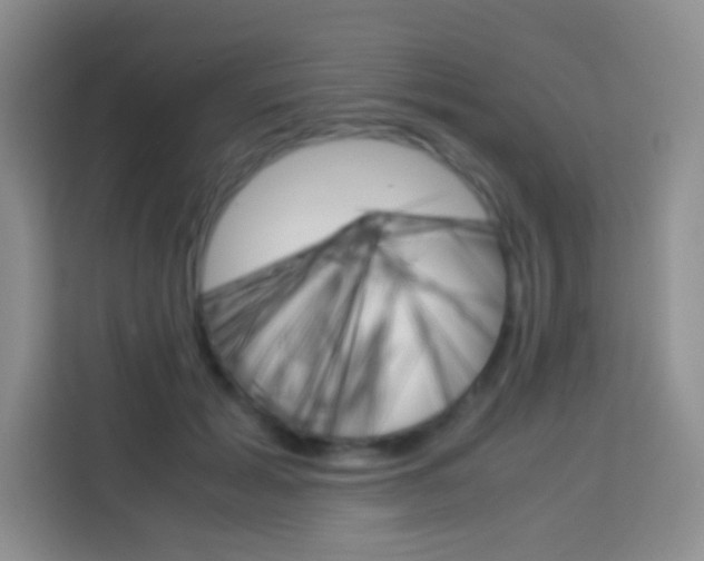 X0000114110605200910051240