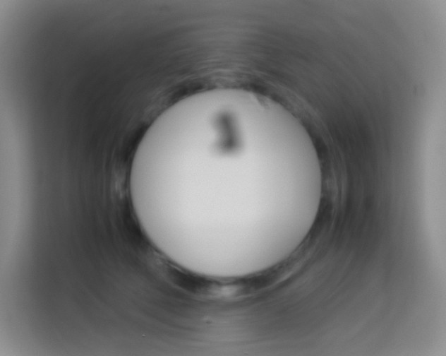 X0000114110610200910051240