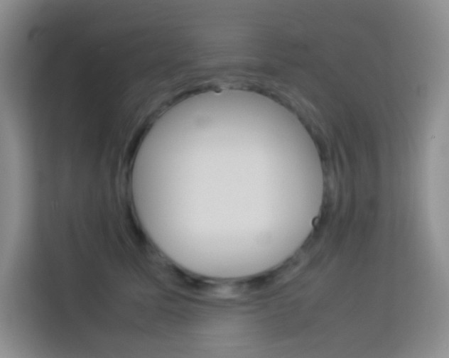 X0000114110611200910051240