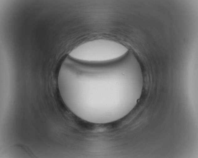 X0000114110613200910051240