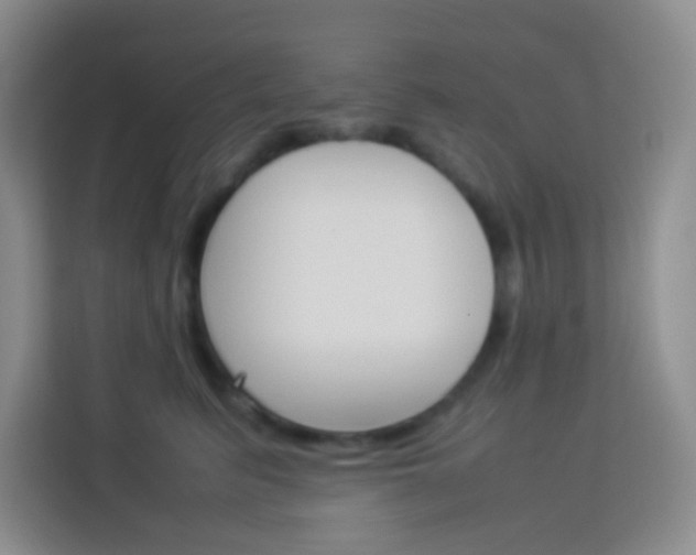 X0000114110615200910051240