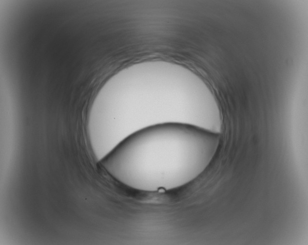 X0000114110617200910051240