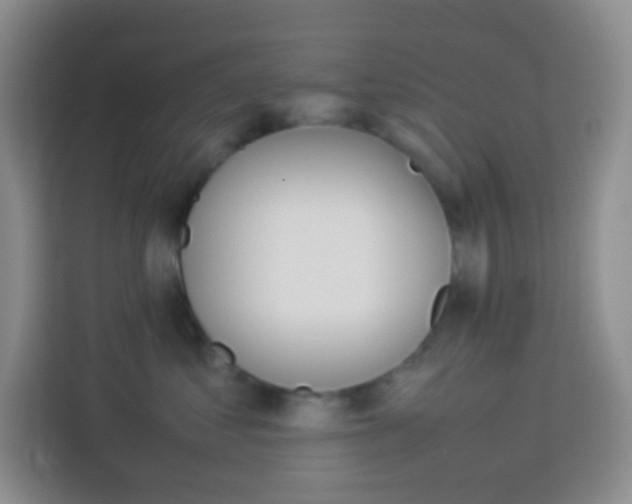 X0000114110621200910051240