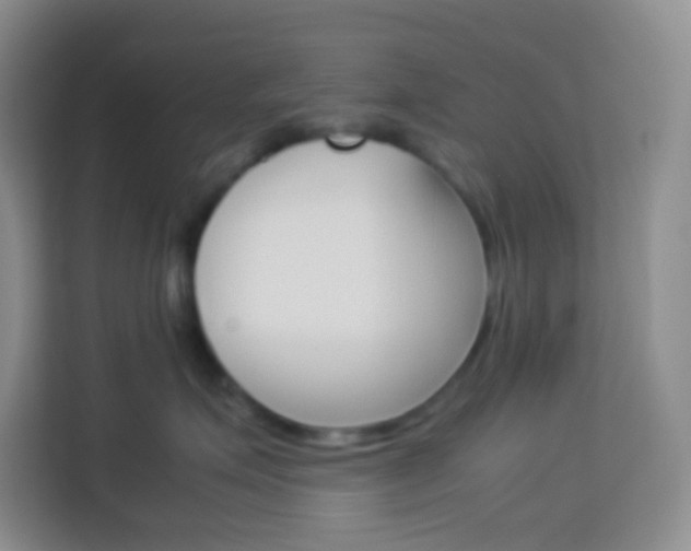 X0000114110623200910051240