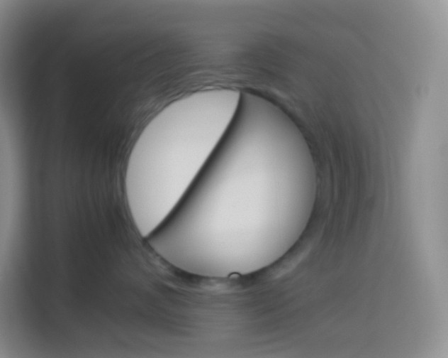X0000114110624200910051240