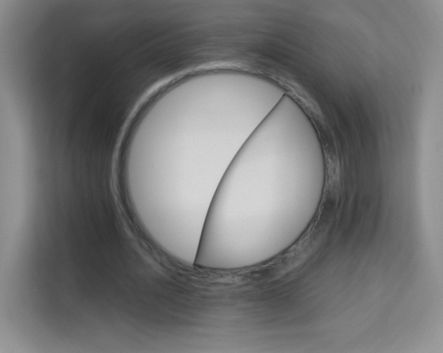 X0000114110628200910051239