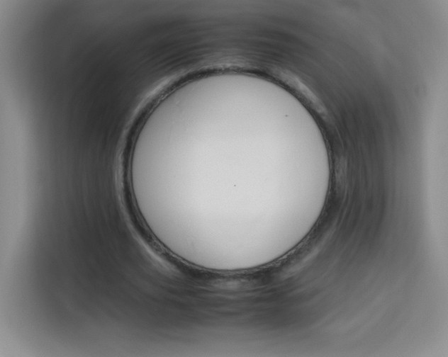 X0000114110629200910051239