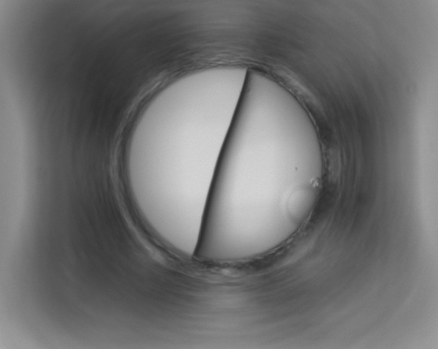 X0000114110634200910051239