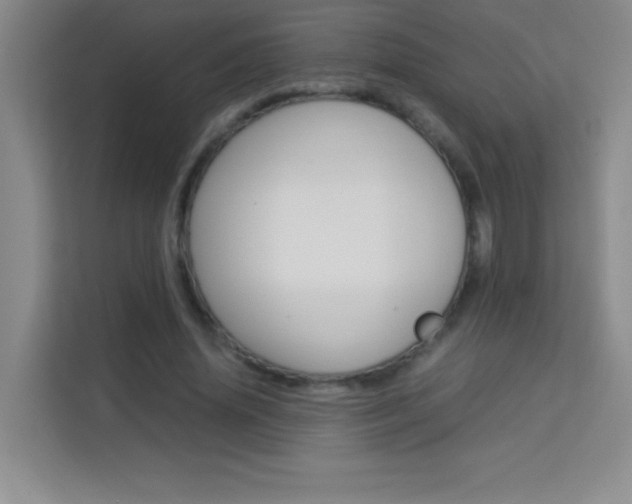 X0000114110636200910051239