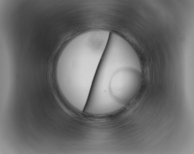 X0000114110638200910051239