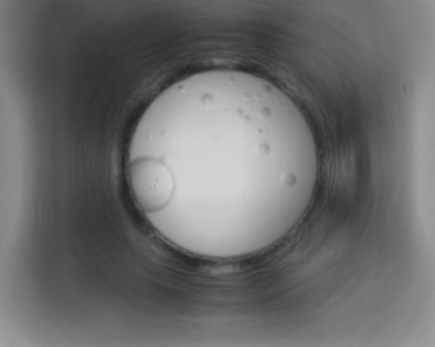X0000114110639200910051239