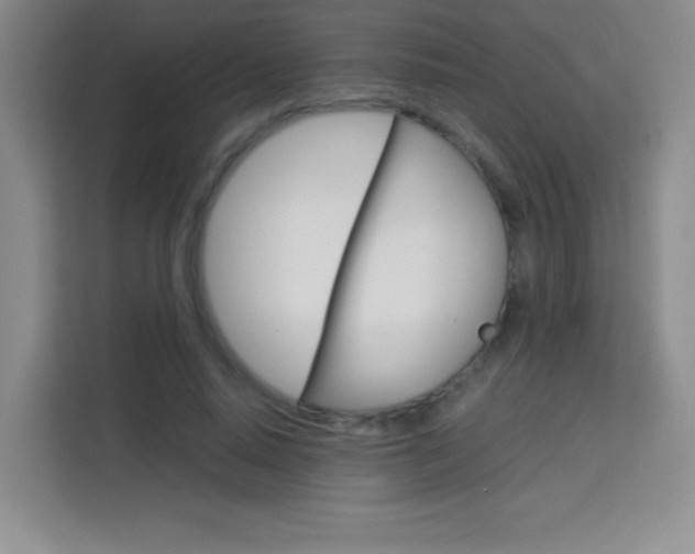 X0000114110640200910051239