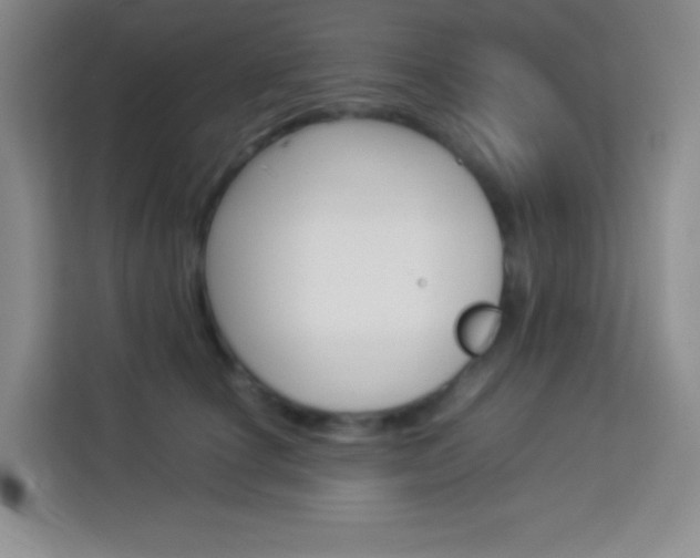 X0000114110660200910051240