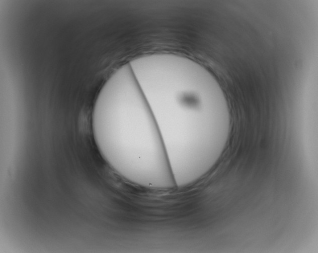 X0000114110661200910051240