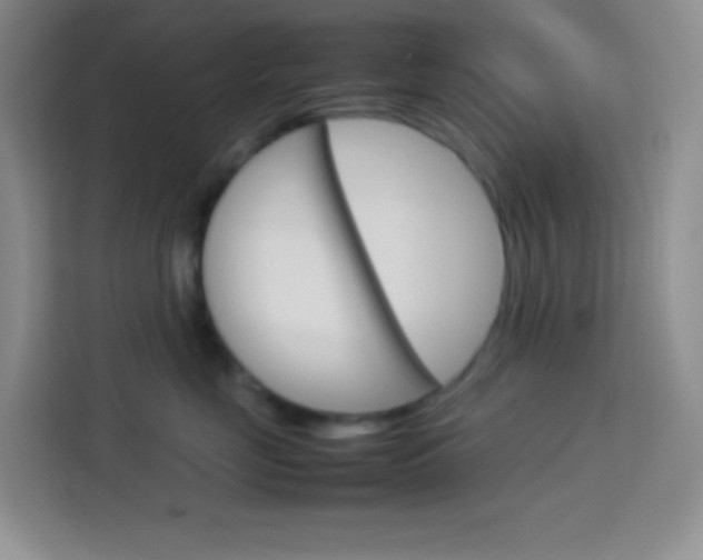 X0000114110669200910051240