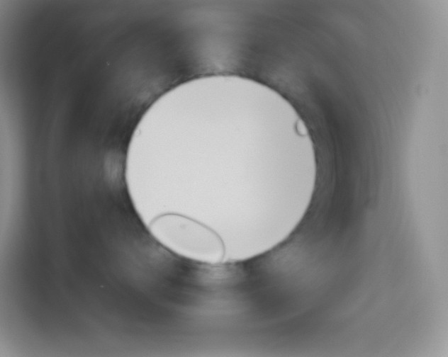 X0000114110672200910051240