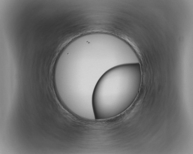 X0000114110673200910051239