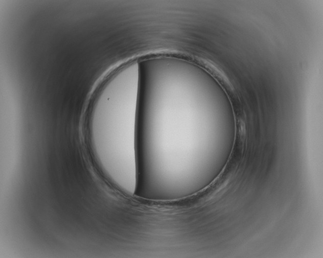 X0000114110676200910051239