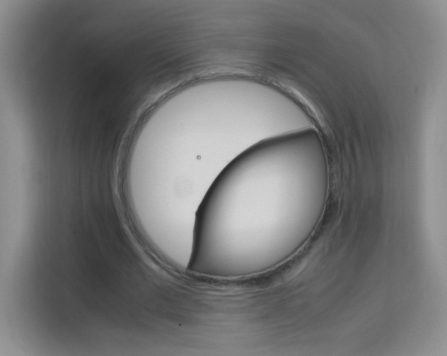X0000114110677200910051239
