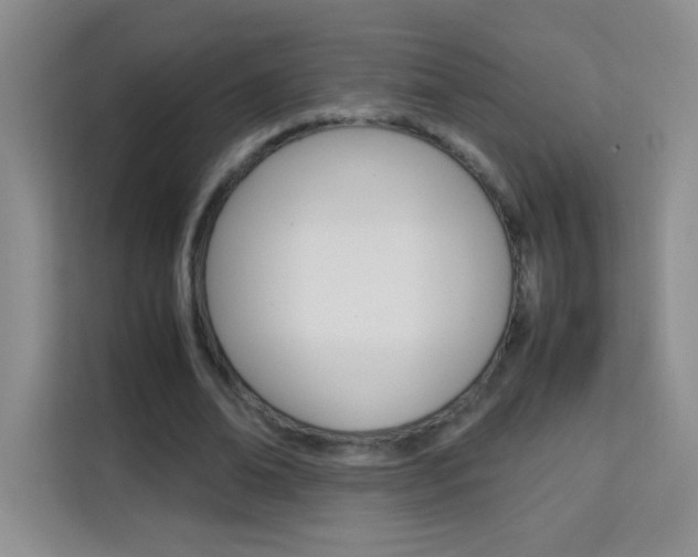 X0000114110678200910051239