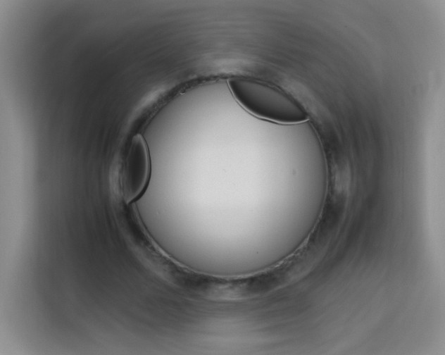 X0000114110680200910051239