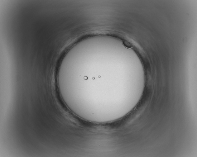 X0000114110681200910051239