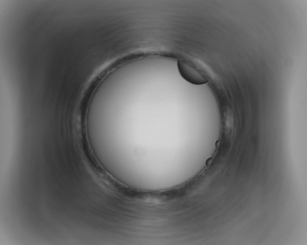 X0000114110684200910051239