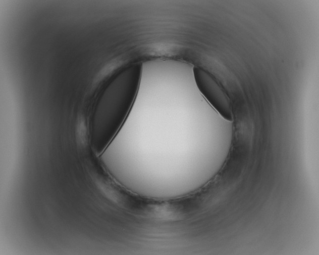 X0000114110688200910051239