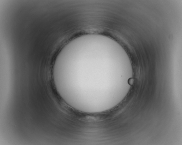 X0000114110690200910051239