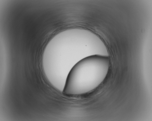 X0000114110693200910051239