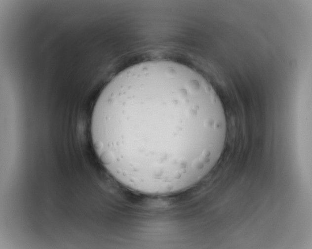 X0000114110698200910051239