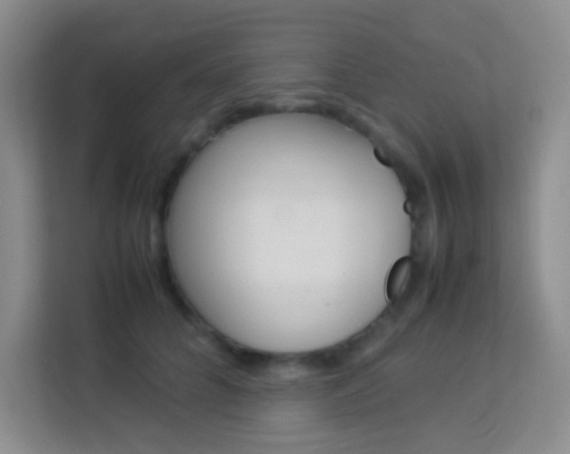 X0000114110704200910051239